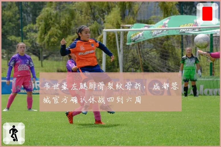 韦世豪左腿腓骨裂纹骨折,成都蓉城官方确认休战四到六周