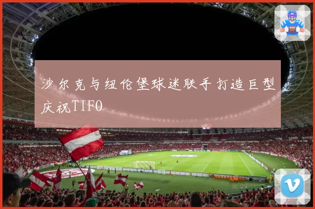 沙尔克与纽伦堡球迷联手打造巨型庆祝TIFO