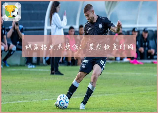 佩莱格里尼受伤:最新恢复时间