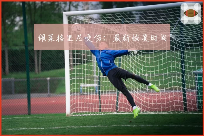 佩莱格里尼受伤:最新恢复时间