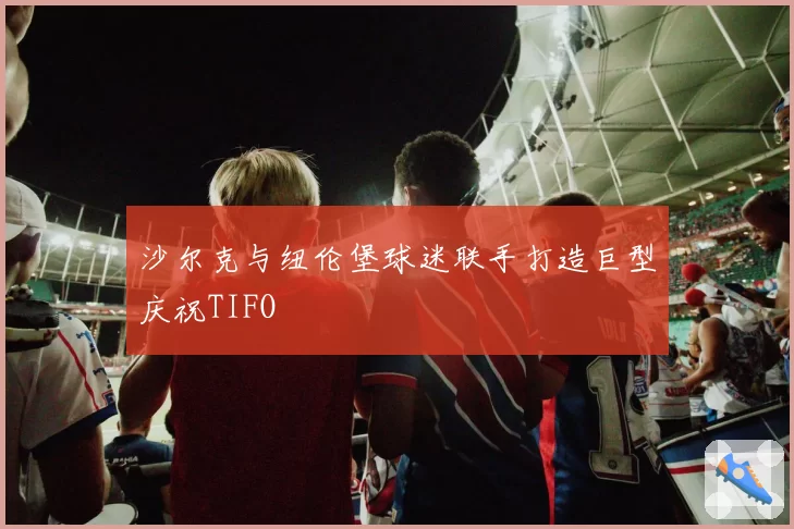 沙尔克与纽伦堡球迷联手打造巨型庆祝TIFO